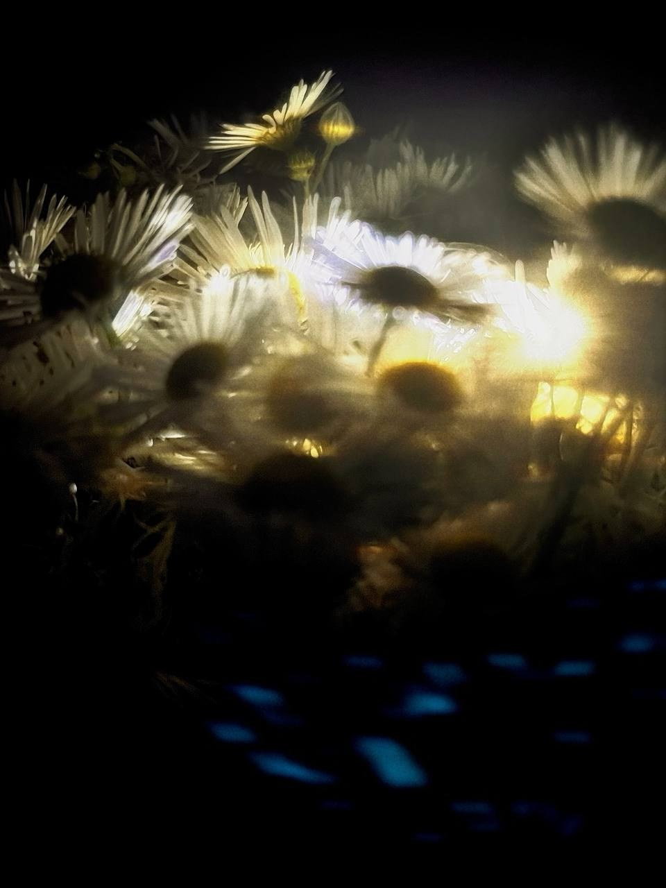 Марафон креативной фотографии. Vladimir Borele Photographer