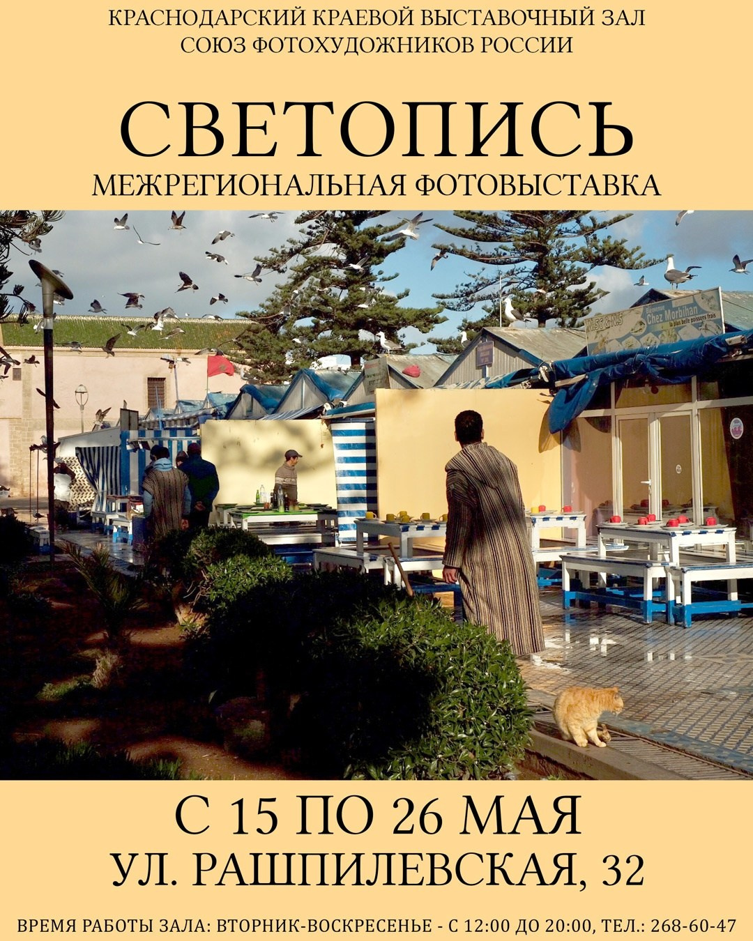 «Светопись-2024» г. Краснодар