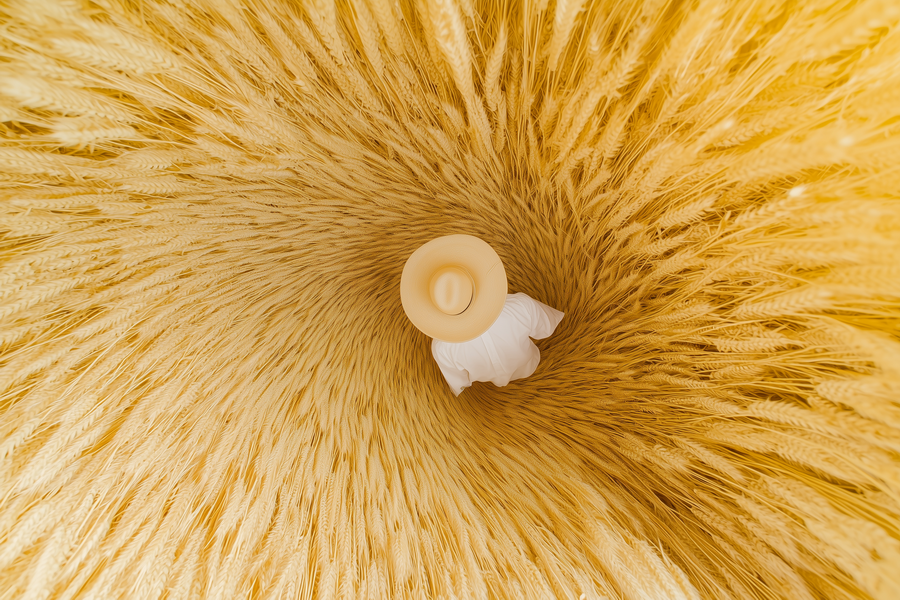 Мельников Максим Андреевич. Галерея участников Российской Премии Искусств