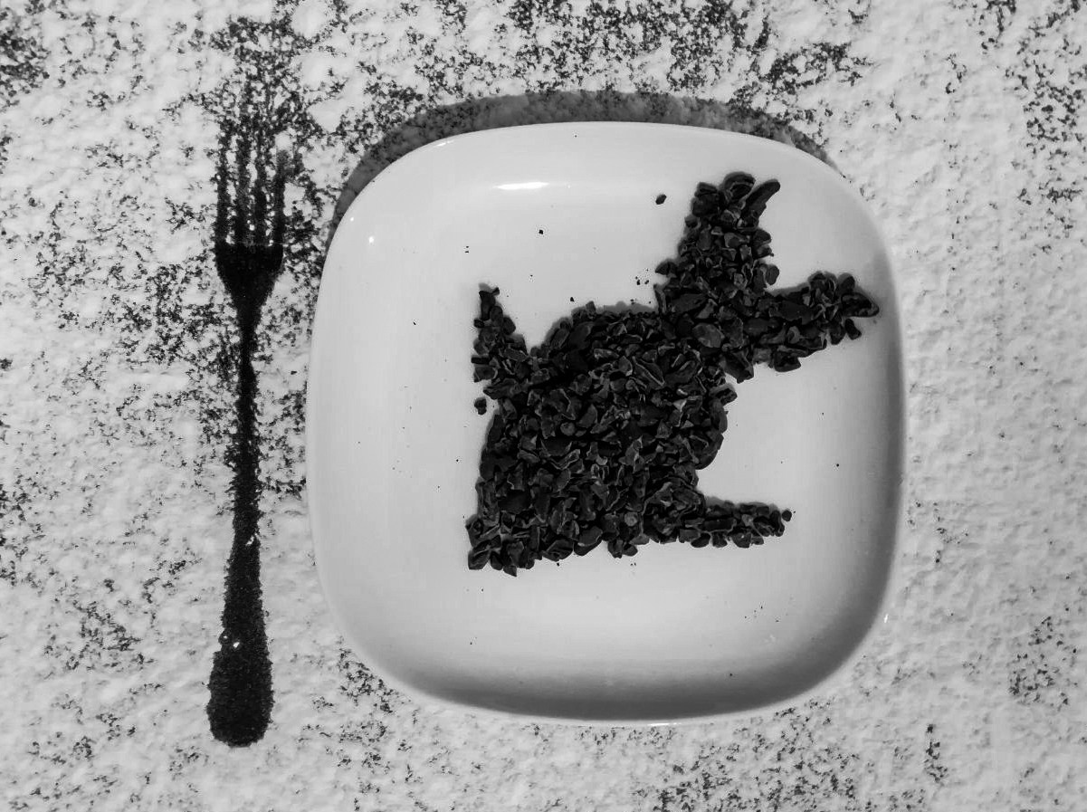 Курс «С нуля»