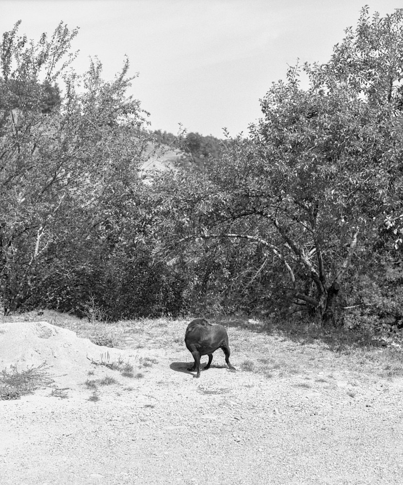 Проект «Borderland» Филиппо Барберо (Filippo Barbero). Private image