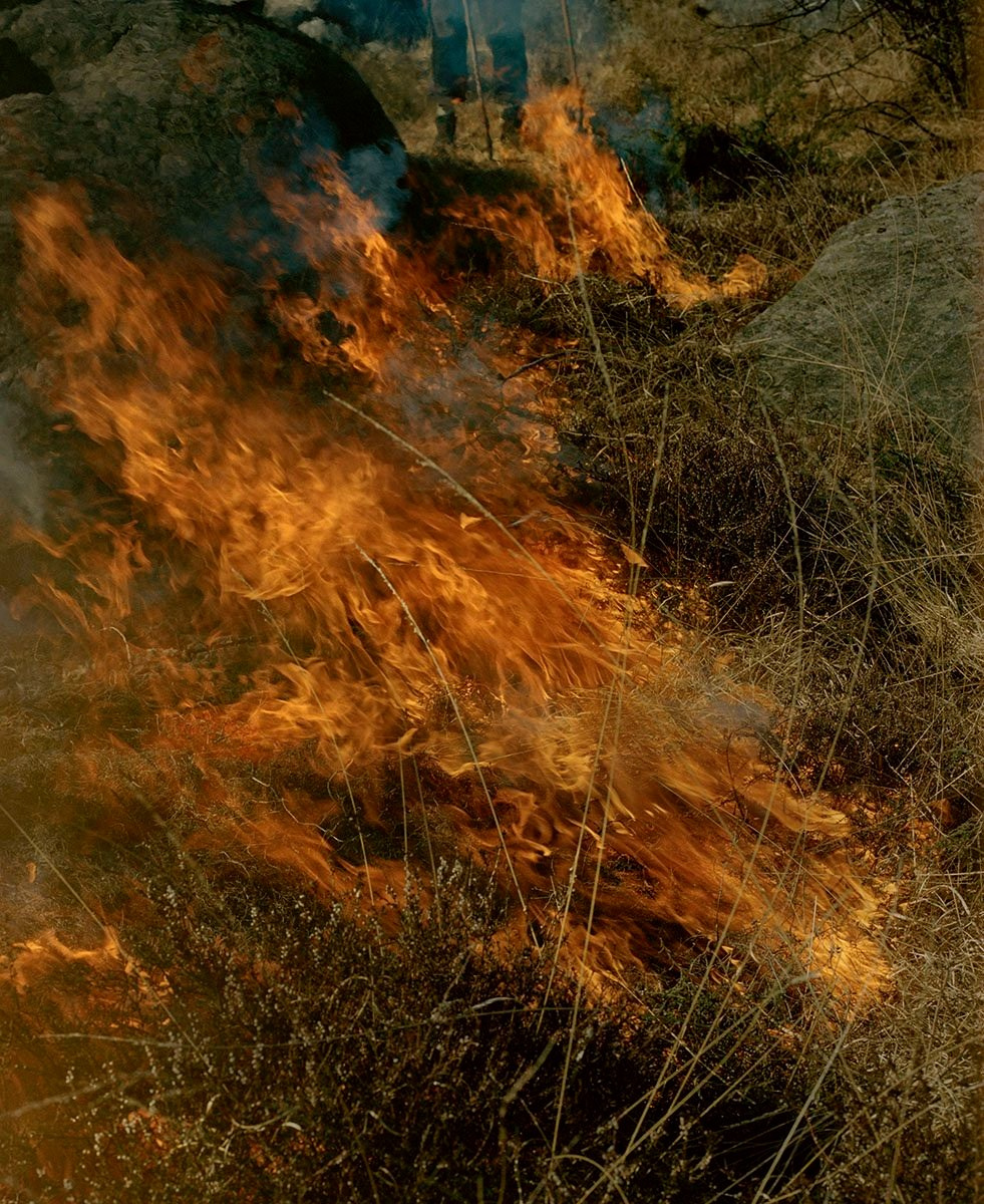 Книга «Gertrud» Мэй Дэниелс (Maja Daniels). Private image