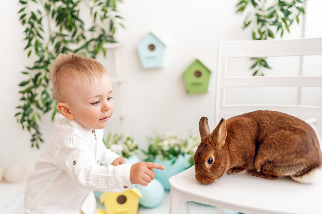 Пасхальные фотосессии. Детский, семейный, фотограф новорожденных, на годик в Рязани Татьяна Ивашкова