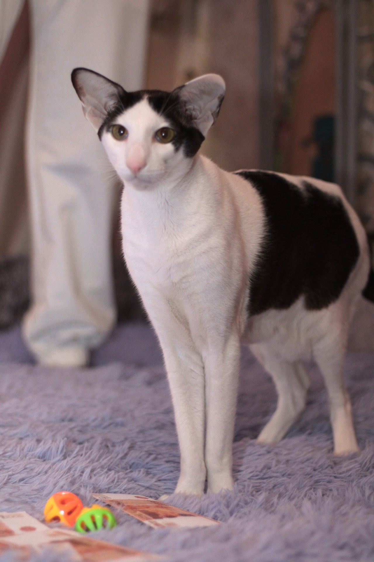 Катя Попова|ЛайфСтайл фотограф