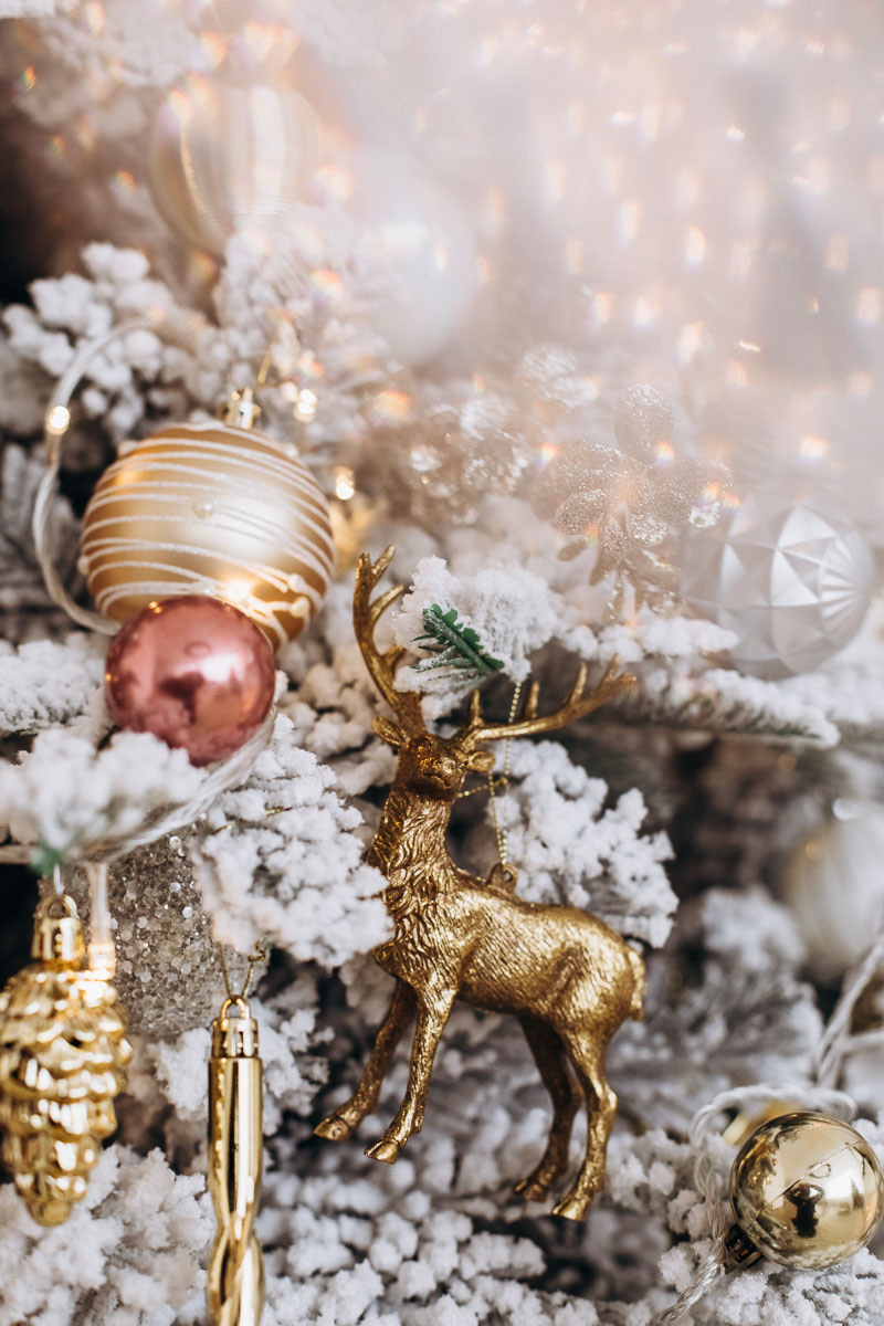 Новогодние фотосессии г. Екатеринбург. Свадебный и семейный фотограф Ксения Шекк Екатеринбург