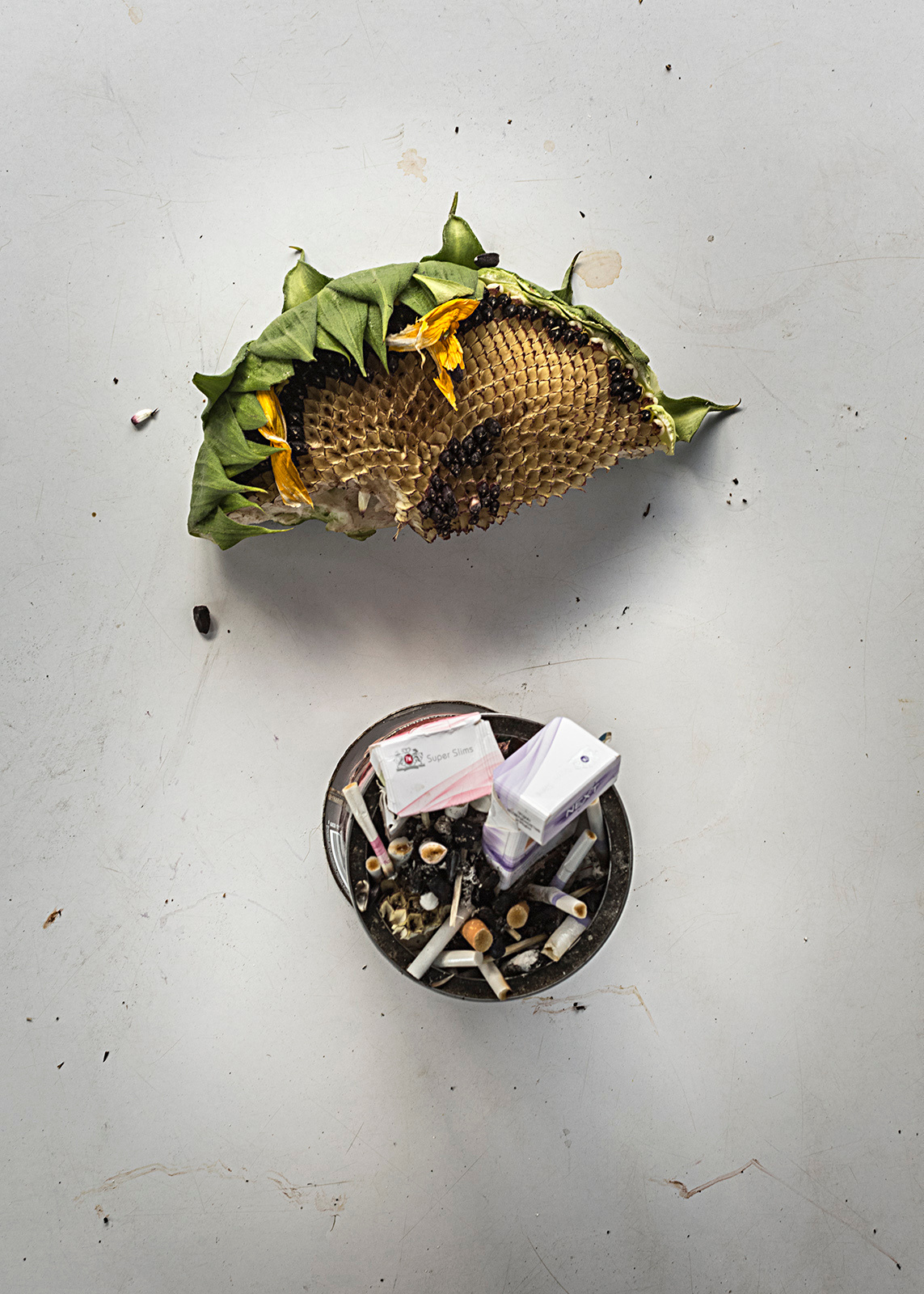 ◽ SECTION / photo, book. Elena Anosova is an award-winning visual artist