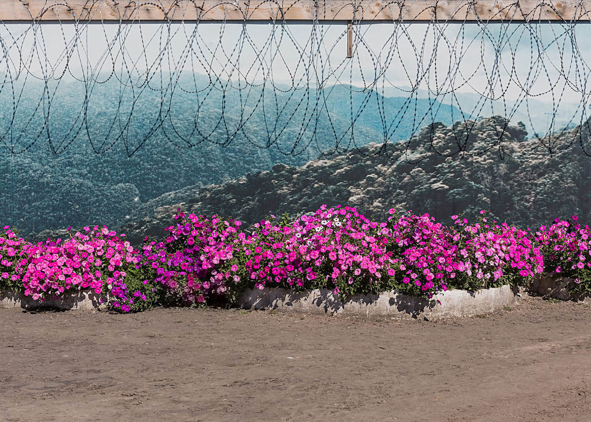 ◽ SECTION / photo, book. Elena Anosova is an award-winning visual artist