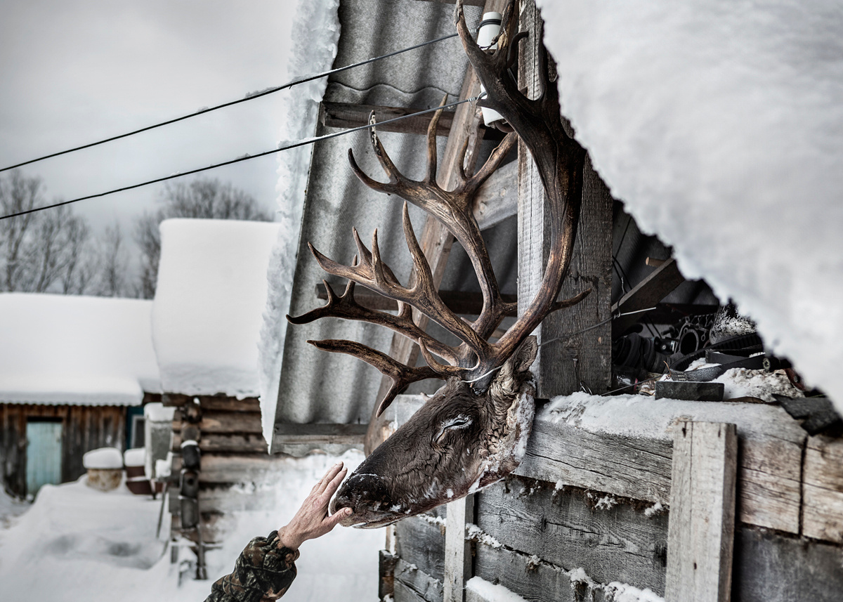 The head of a reindeer hangs in the yard. Far North, Siberia by Elena Anosova