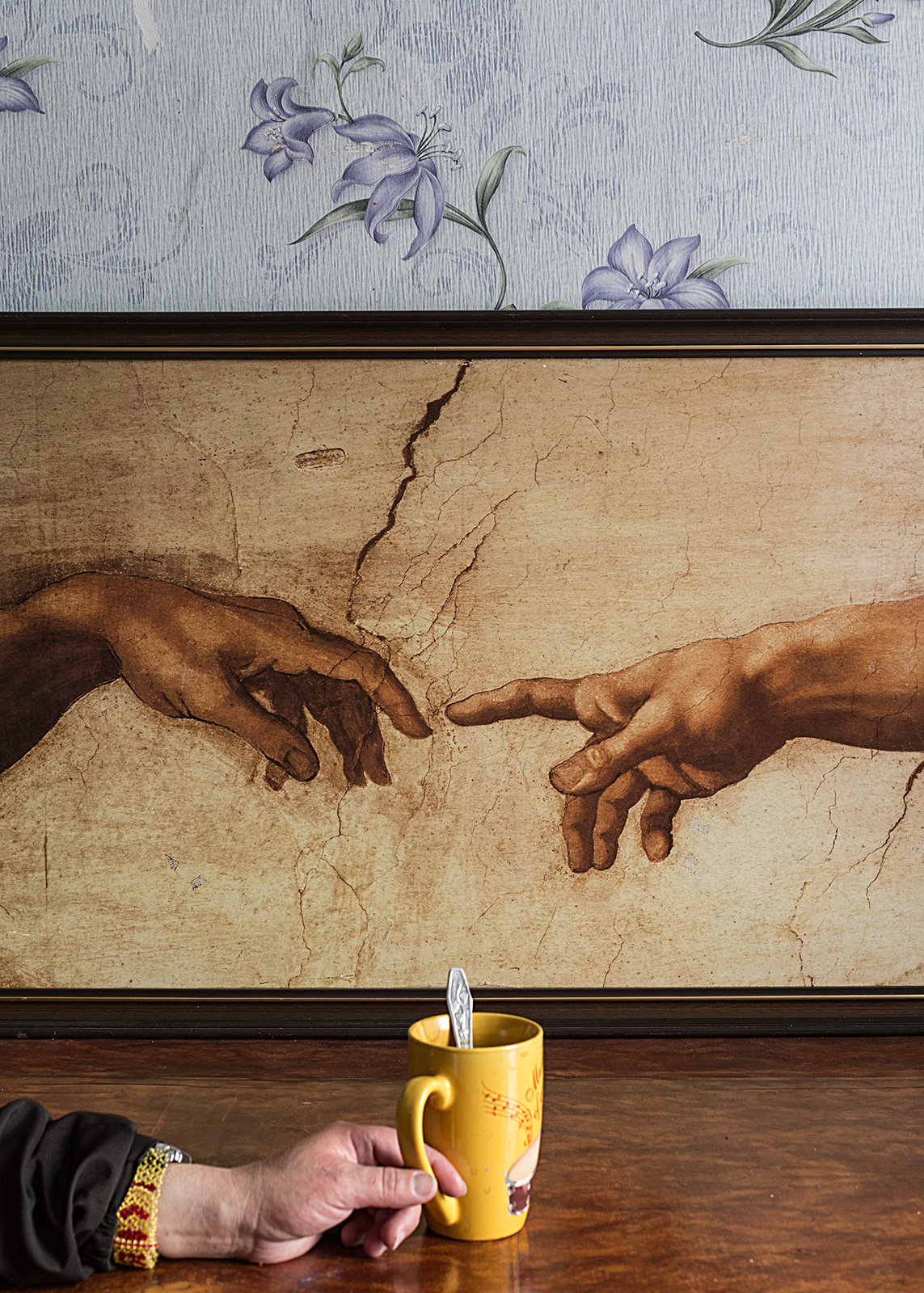 ◽ SECTION / photo, book. Elena Anosova is an award-winning visual artist