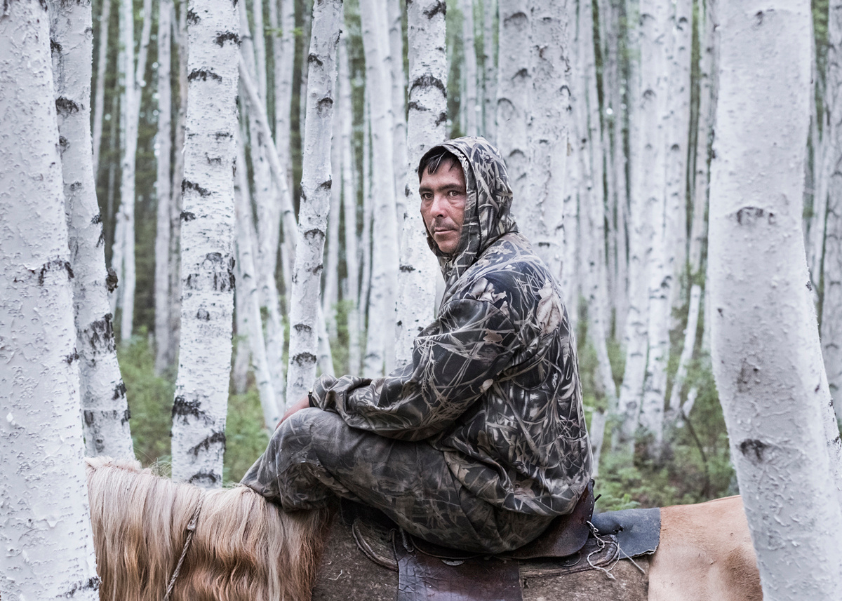 Young hunter trains young horses in a birchwood. Far North, Siberia by Elena Anosova