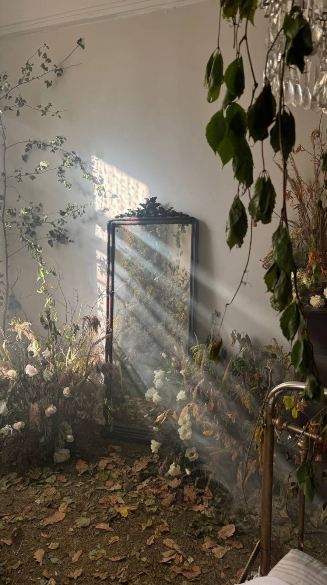 Подборка фотостудий в Санкт-Петербурге. Пленочный фотограф в Санкт-Петербурге Ксения Давыдова