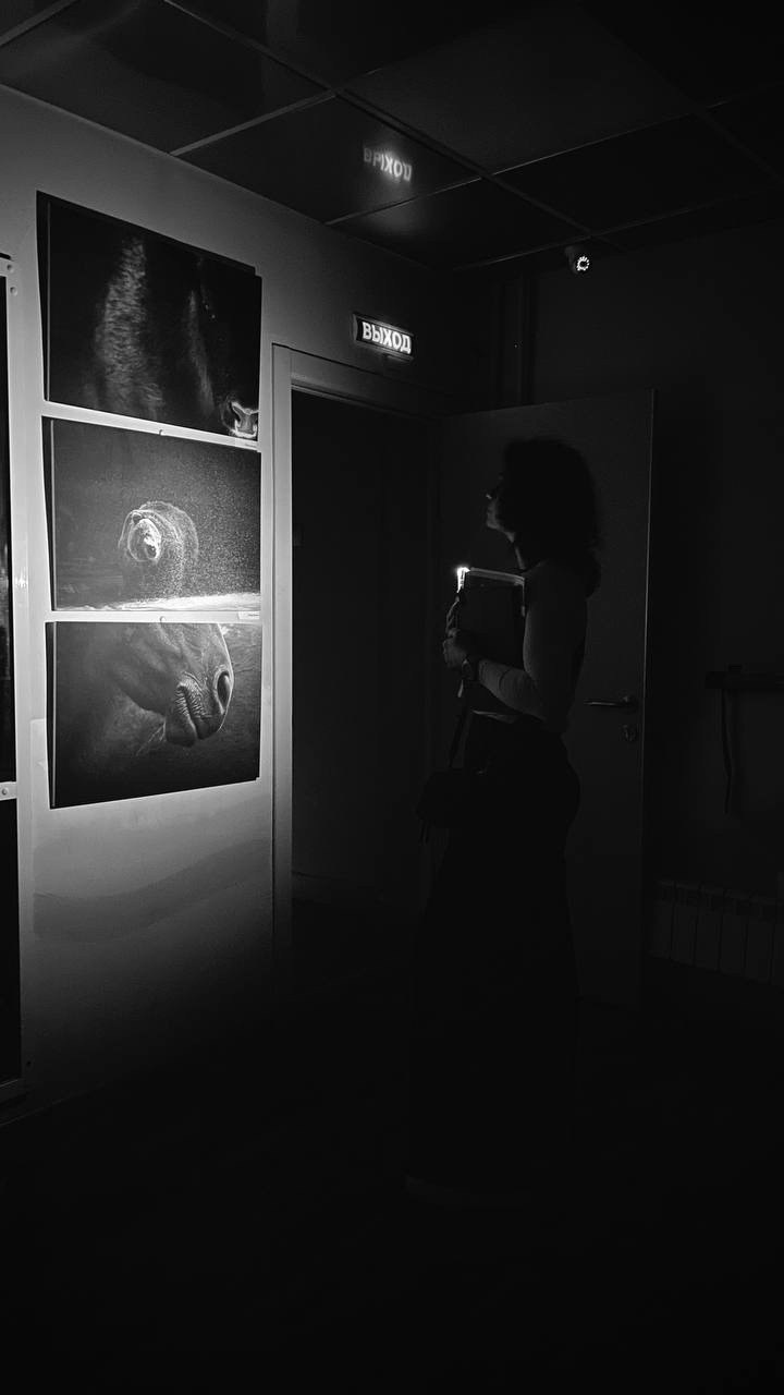 Участвую в фестивале черно-белой фотографии «Фотострелка», Москва. Фотограф Наталия Шляпина в Ростове-на-Дону