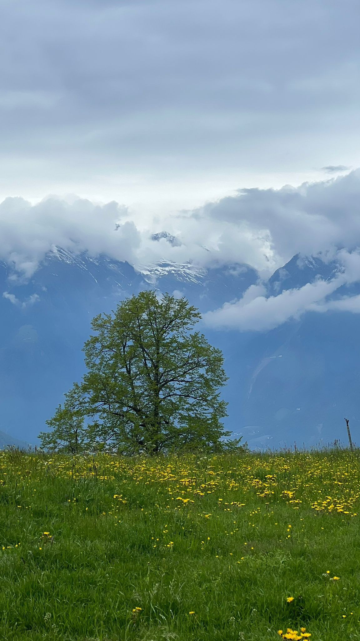 About the artist. Artist Margarita Gusak