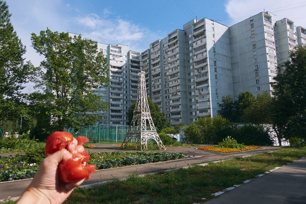 8-9/25. Иван Кобяков