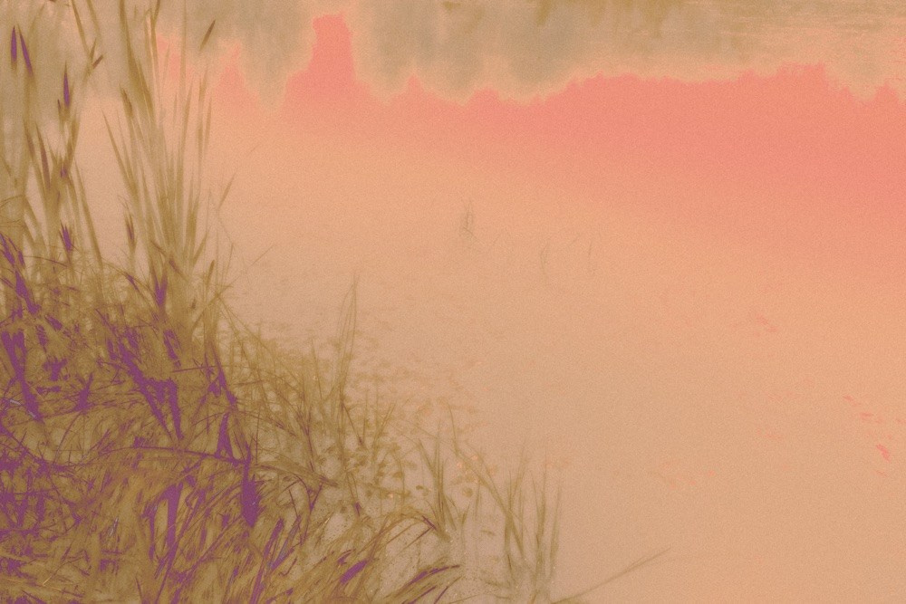 СНЫ О ДЕТСТВЕ. Визуальный артист Наташа Солнцева