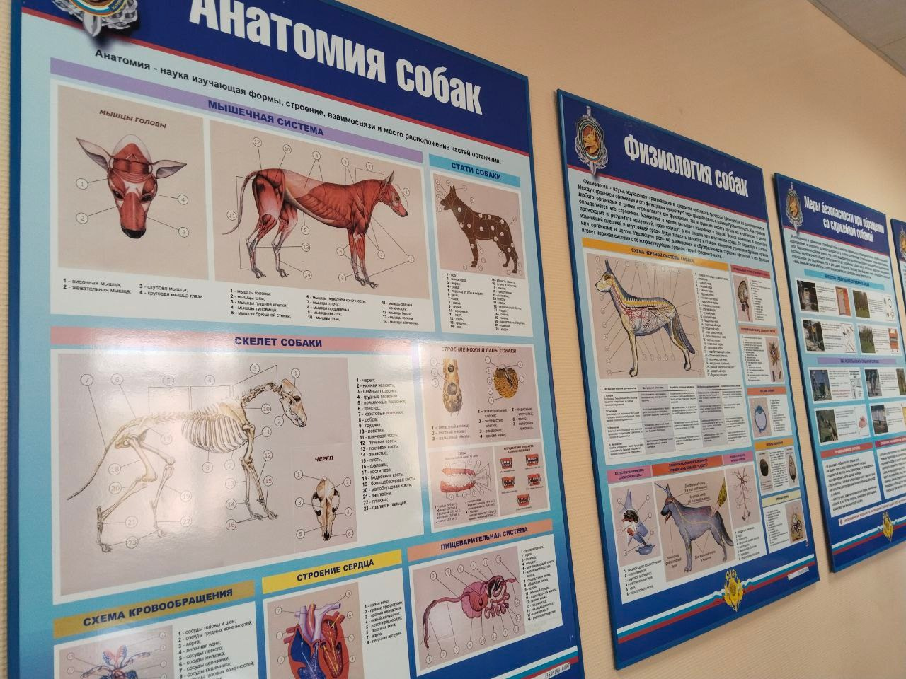 Встреча с кинологами зонального кинологического центра ГУ МВД России по Нижегородской области. НРОО КЦ "Собаковод"
