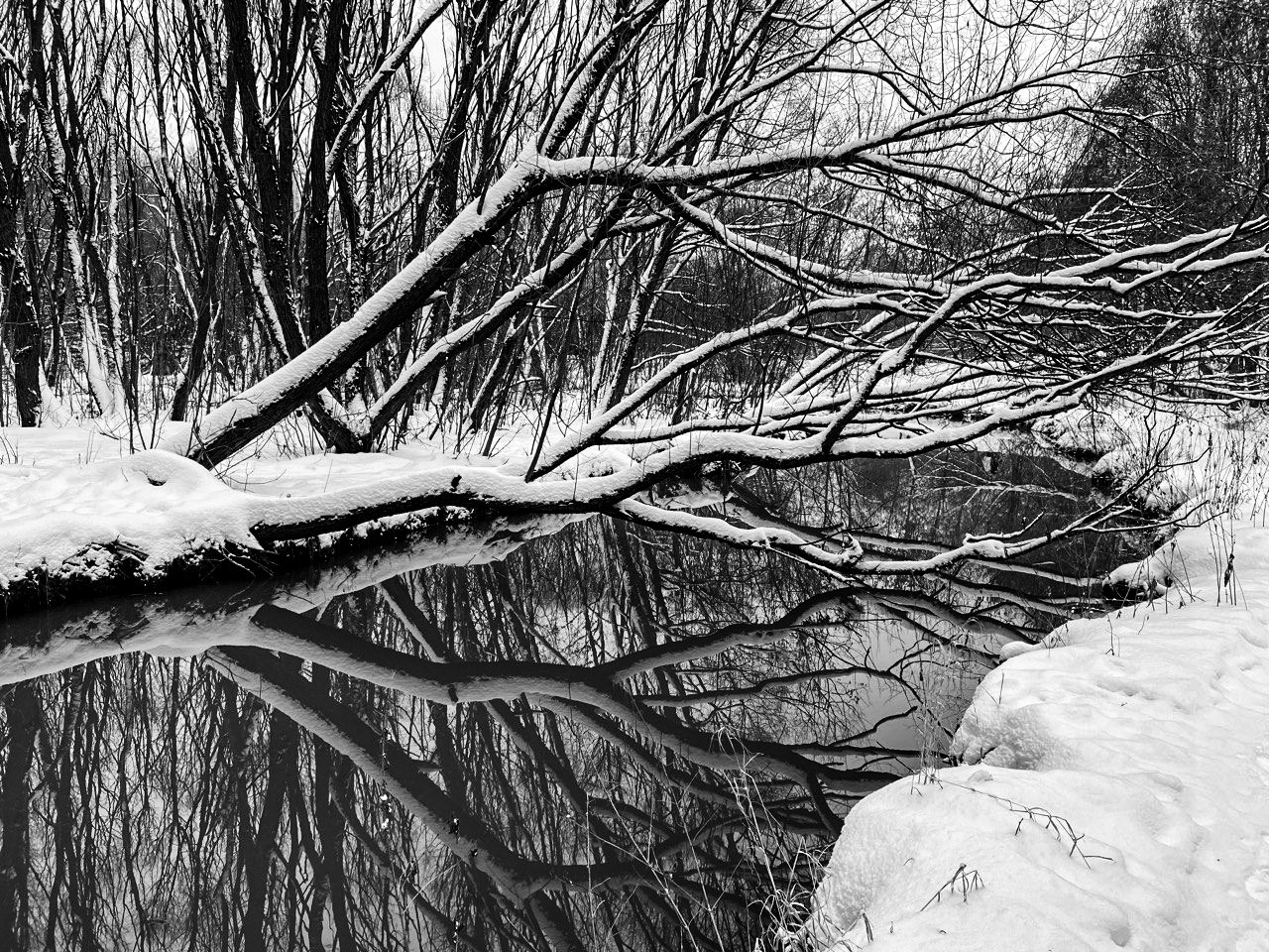 Курс «С нуля»