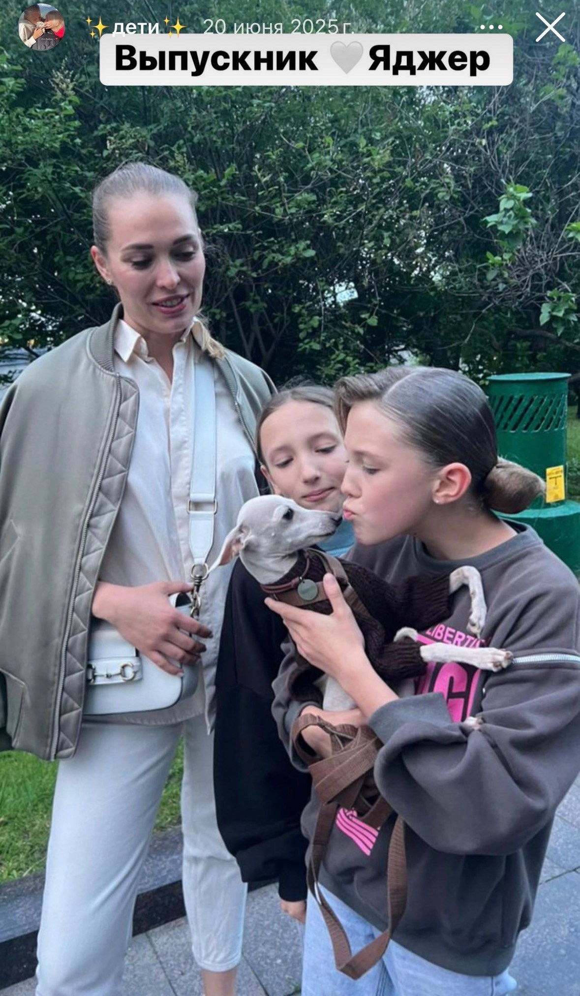 Левретка и ребенок: нежная дружба. Профессиональный питомник левреток РКФ/FCI ASTI SAPPHIRE 💎 Сочи|Санкт-Петербург