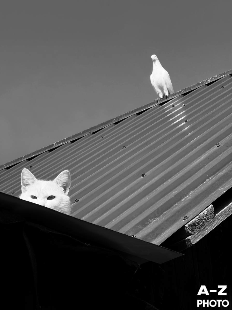 #ФОТОНЕДЕЛИ 30.03.2026. Женский семейный фотограф Тула Москва Захарова Анна