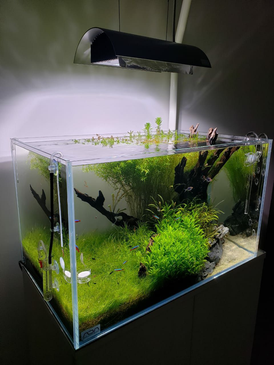 Tanks of my students. Home