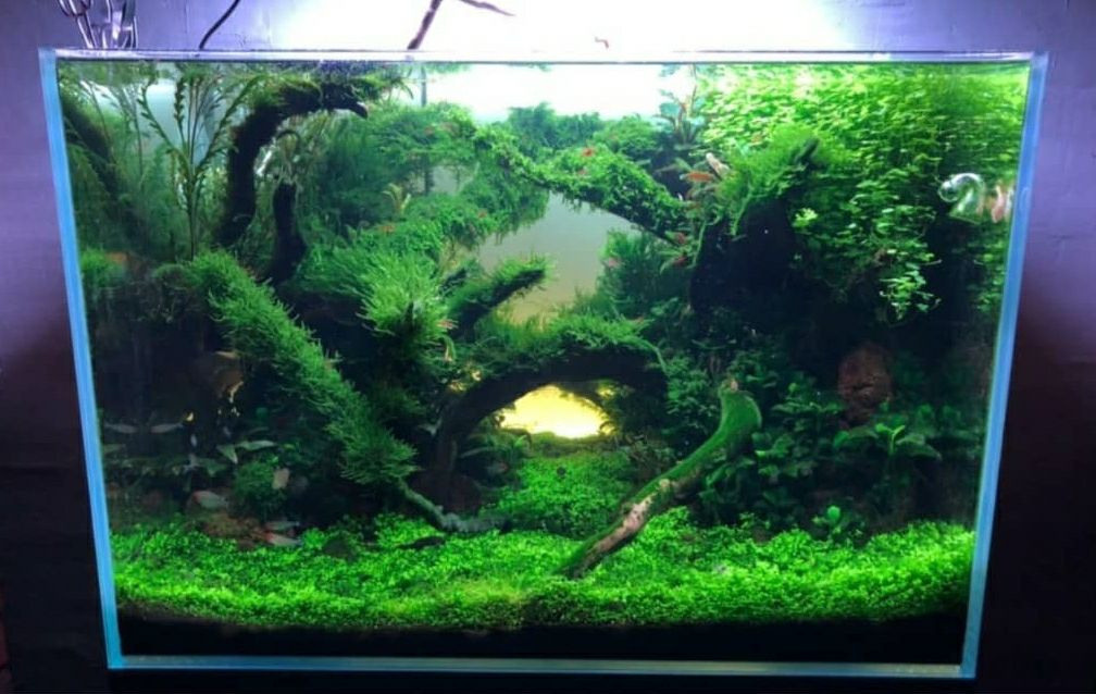 Tanks of my students. Home