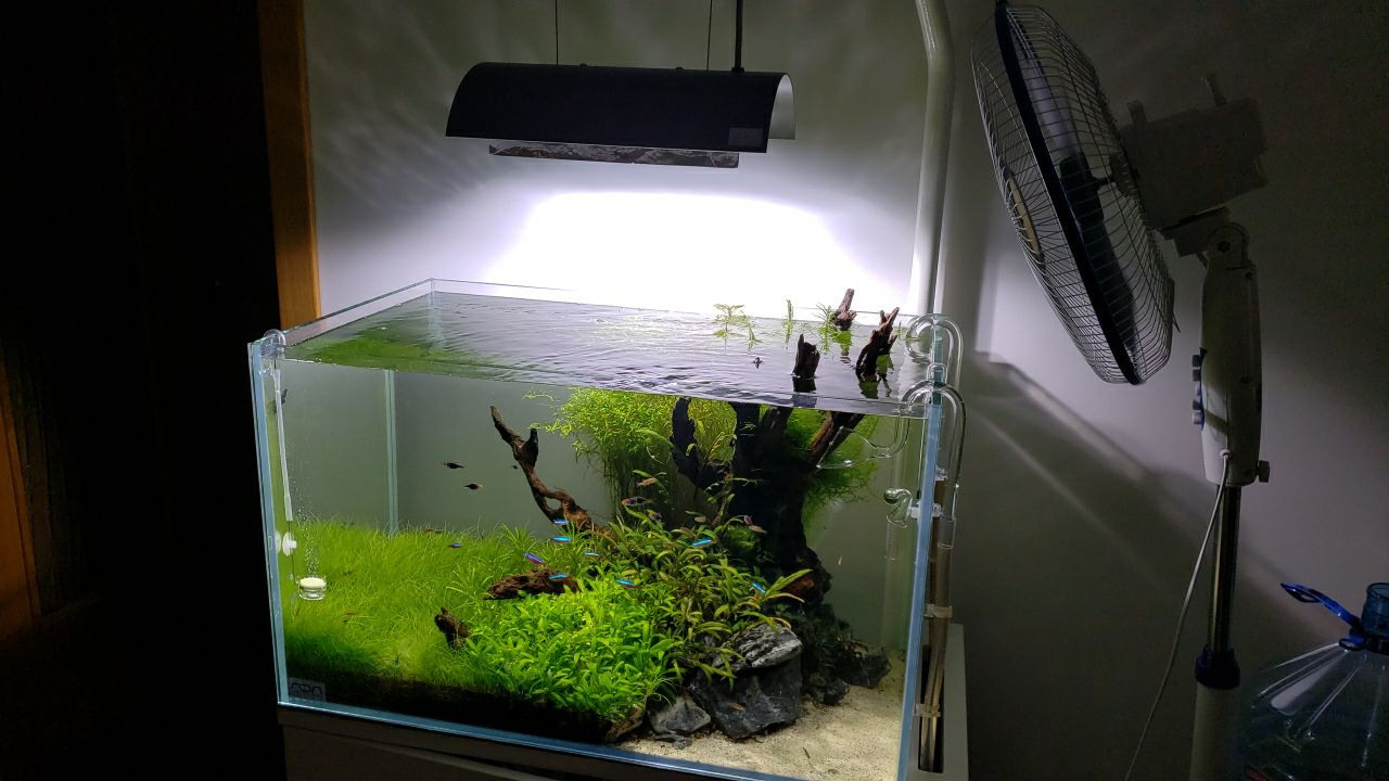 Tanks of my students. Home