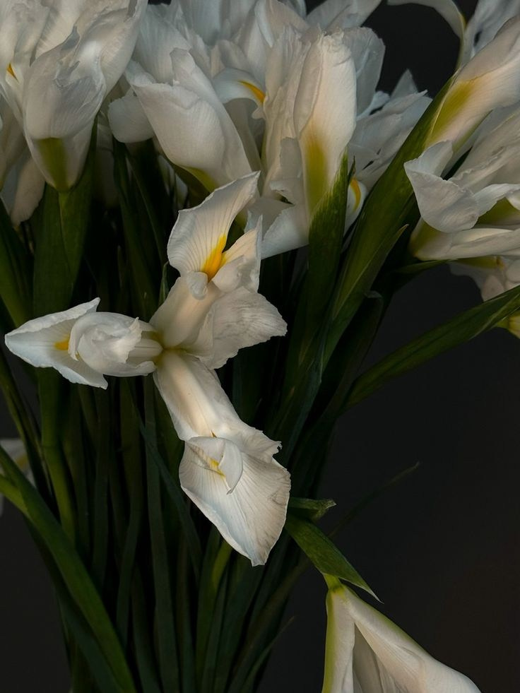 Парфюмерный. Студия декора LES décors