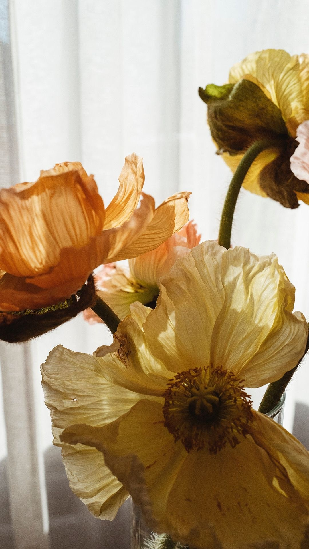 Приглашение на свадьбу