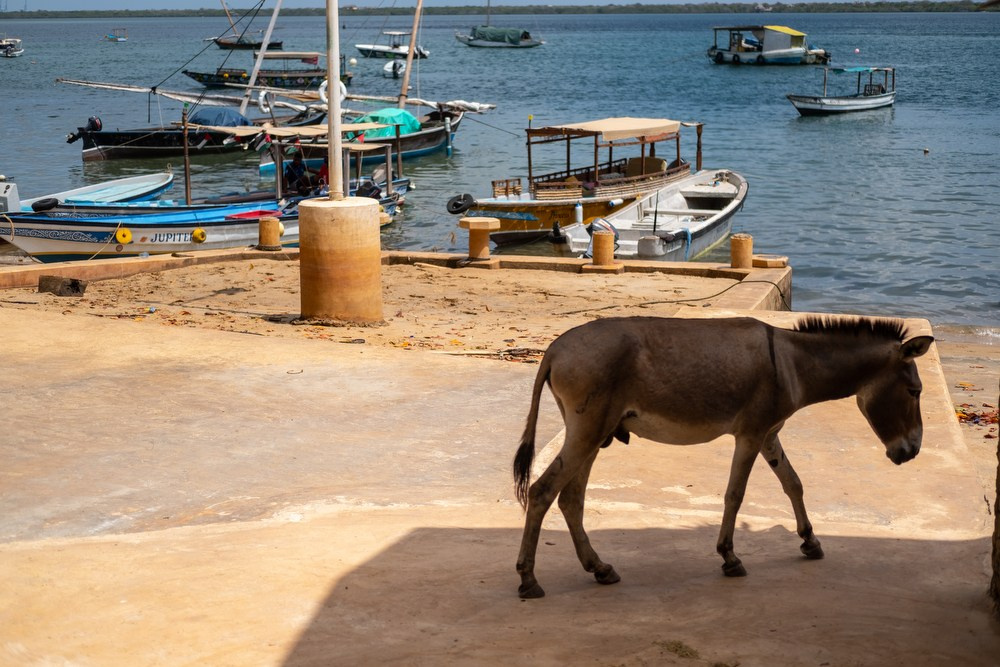 Фототур в Кению. Чунга-чанга