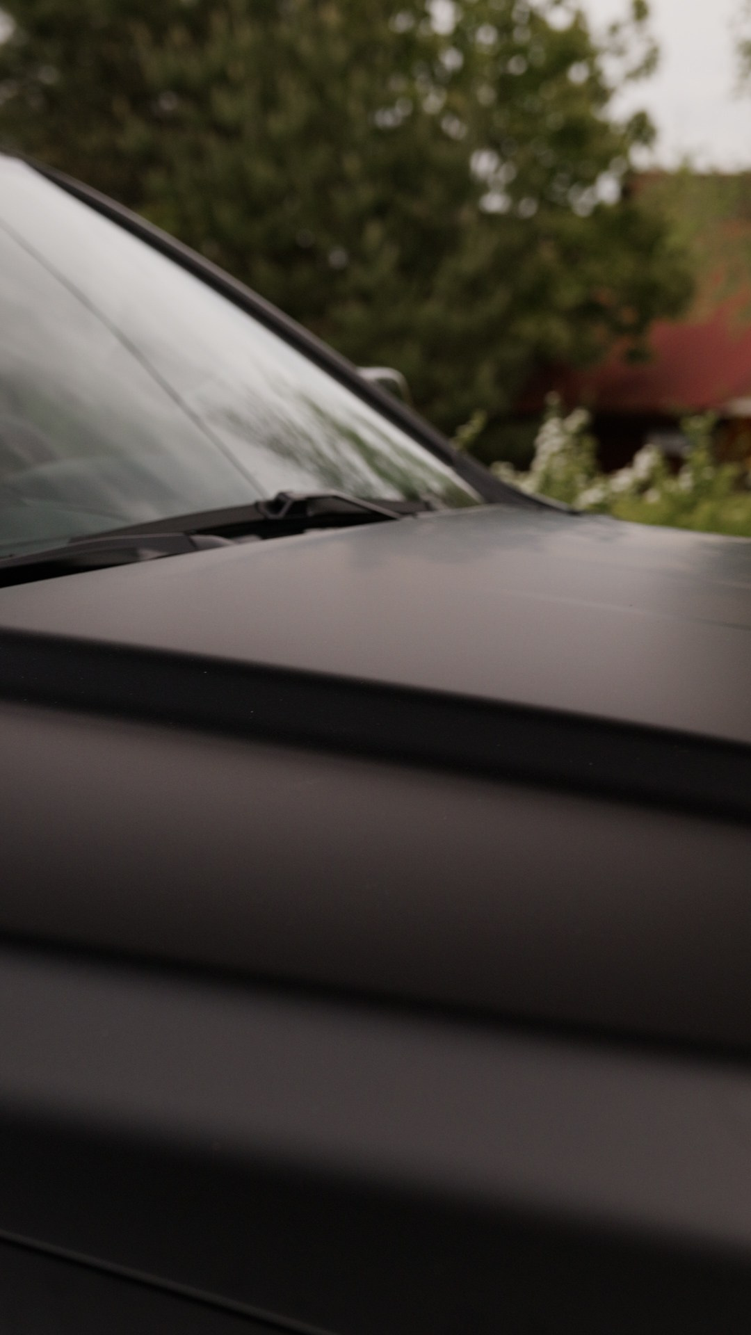 Wrap baza. Фотограф и видеограф Мария Банщикова, Солнечногорск, Москва