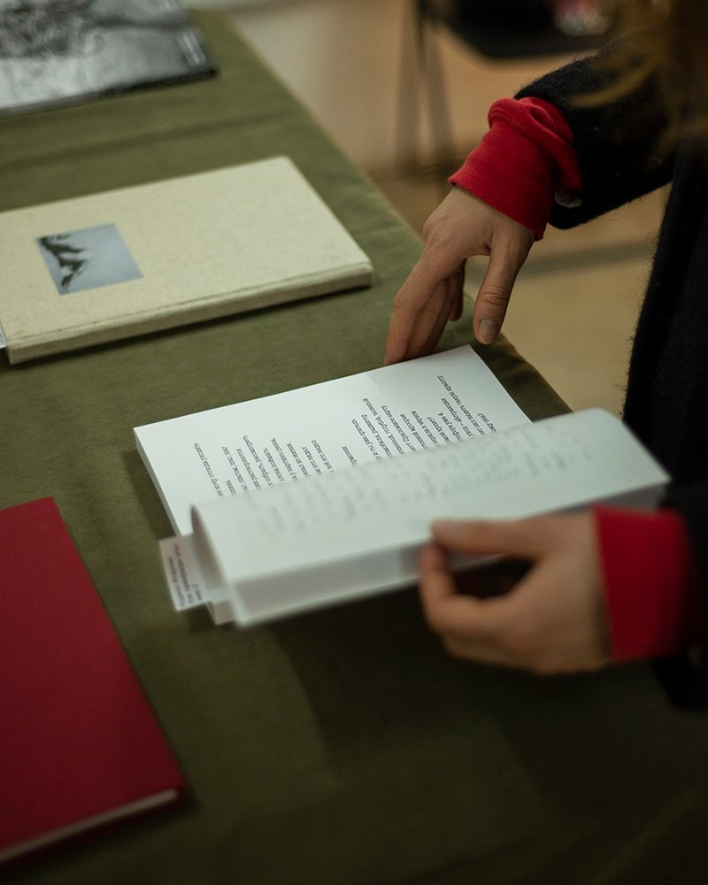 Photobookzineprintpressfest. Jane Efremova, artist and curator based in Belgrade, Serbia