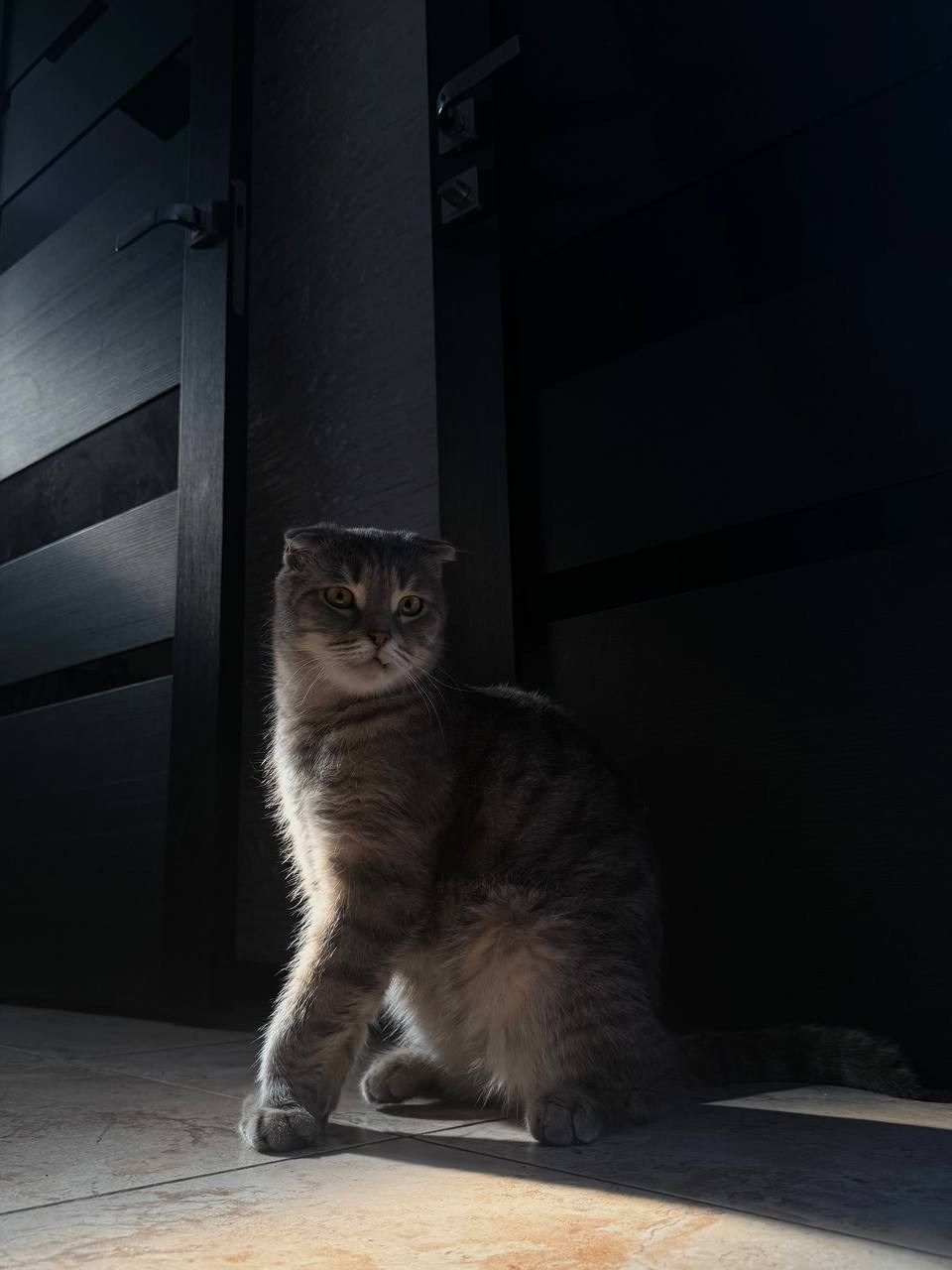 МАРАФОН ФОКУС НА ПРЕКРАСНОМ. Фотограф Анастасия Дмитриева