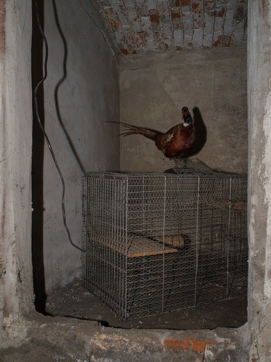 Unspoken. Photographer, Documentary and Art