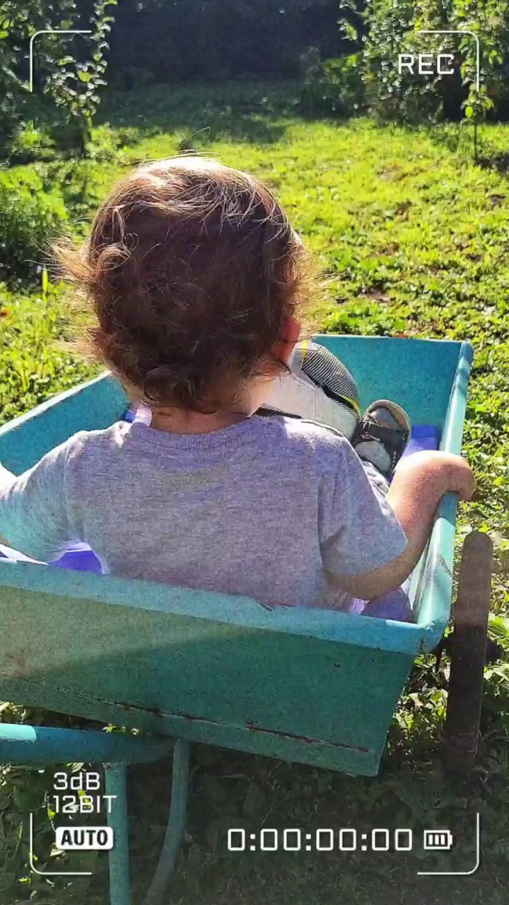 МОБИЛЬНАЯ ВИДЕОГРАФИЯ