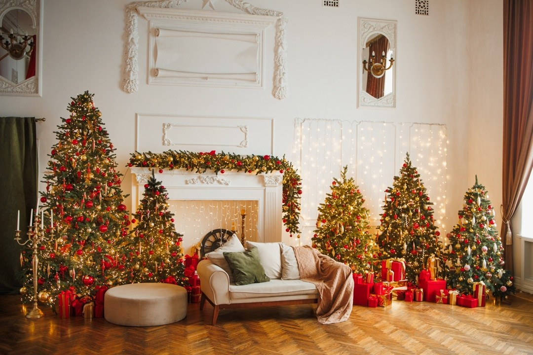 Новогодние залы. Семейный и женский фотограф в Воронеже Ольга Попова