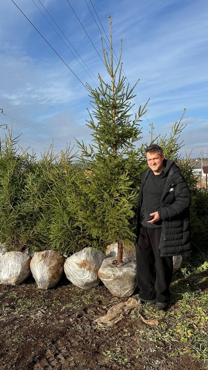 Крупномеры РФ