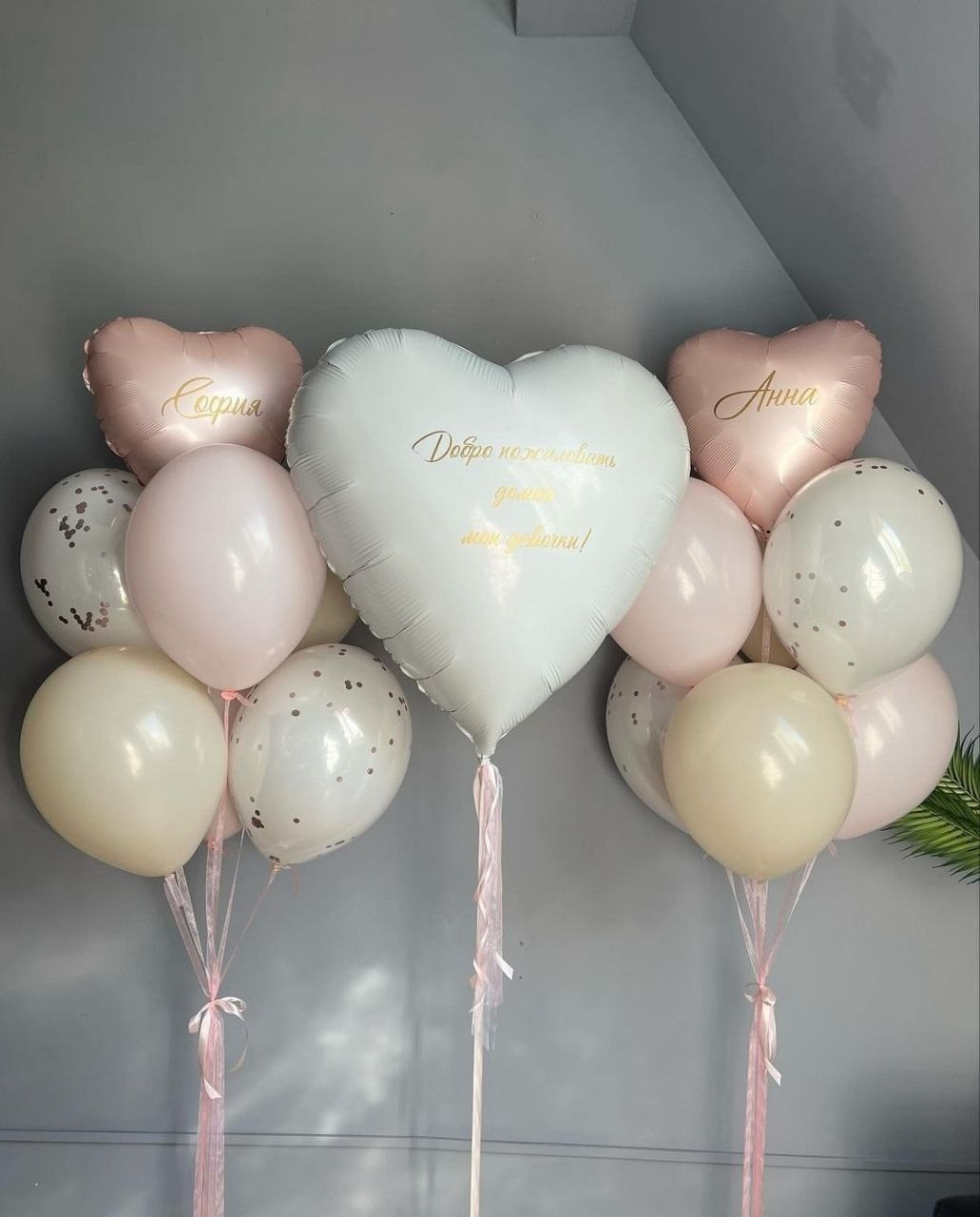 Odalazak iz porodilista prodavnica balona Novi Sad prodavnica balona Beograd. Шары с гелием, фотозоны Нови Сад Белград. Balone i dekoracije od balona Novi Sad Beograd