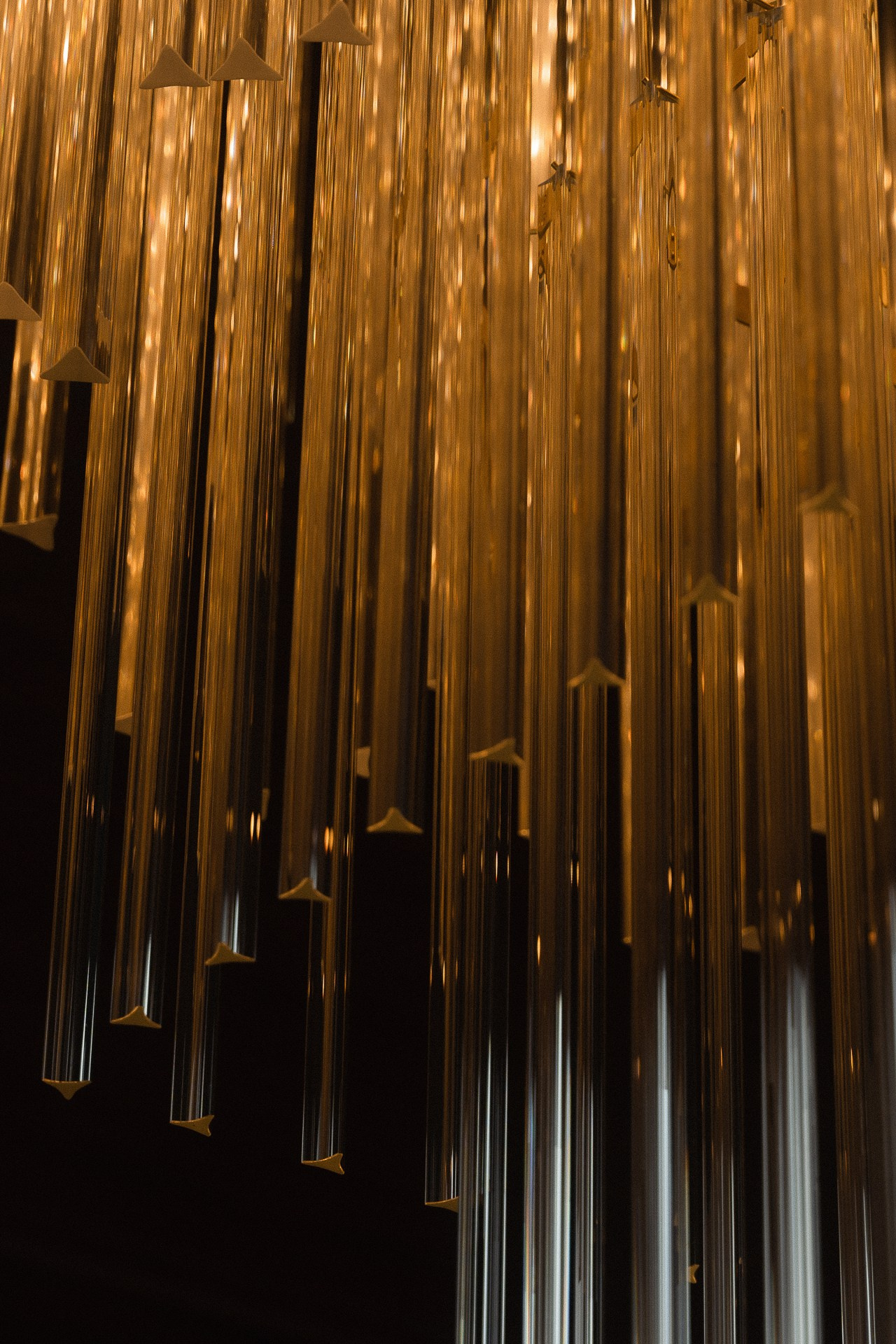 Сергей и Дарья. Свадебный фотограф в Белгороде Антон Каменев