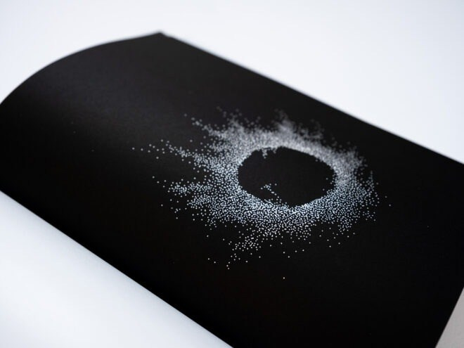 ИНТЕРВЬЮ С АВТОРАМИ: MOE SUZUKI. Самоорганизация Низина