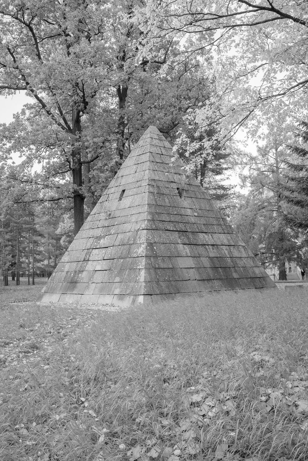 Littorea история о Петербурге улитке. Василий Пиндюрин визуальный художник