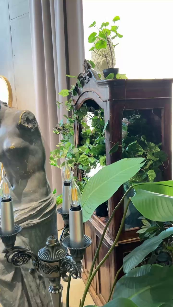 Бэкстейджи. Фотопроект Olympus