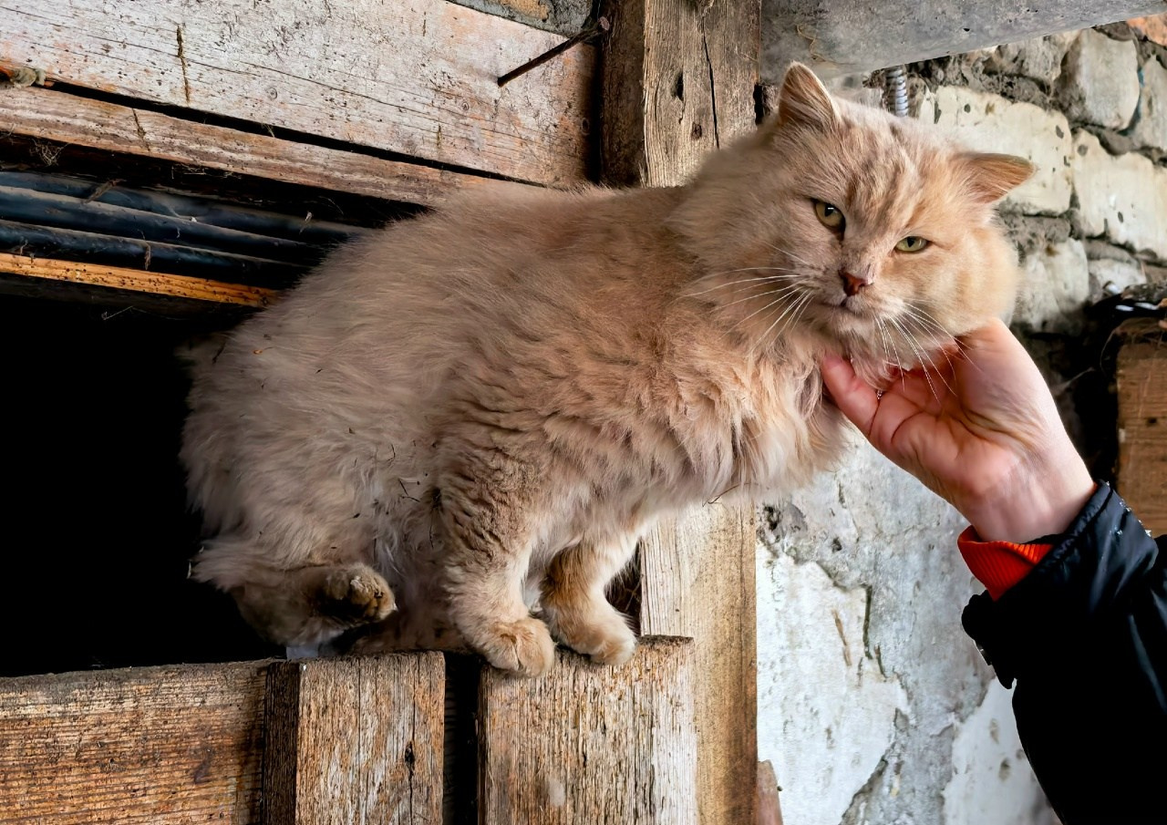 The Russian Village Cosmos. Travel photographer Max Muze