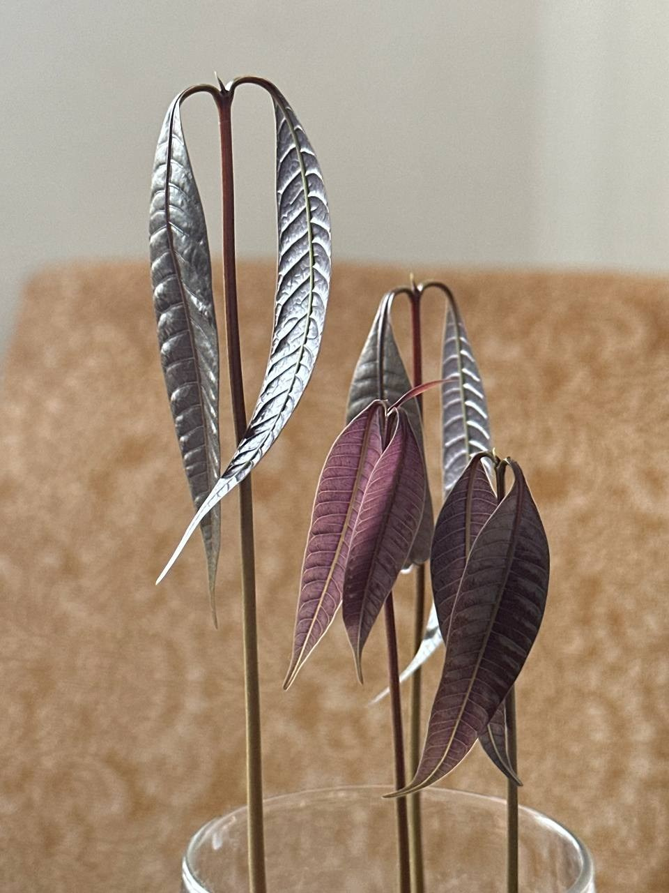 N2, Взгляд через вещи на историю семьи и страны. Портретный и репортажный фотограф Наталья Горобец