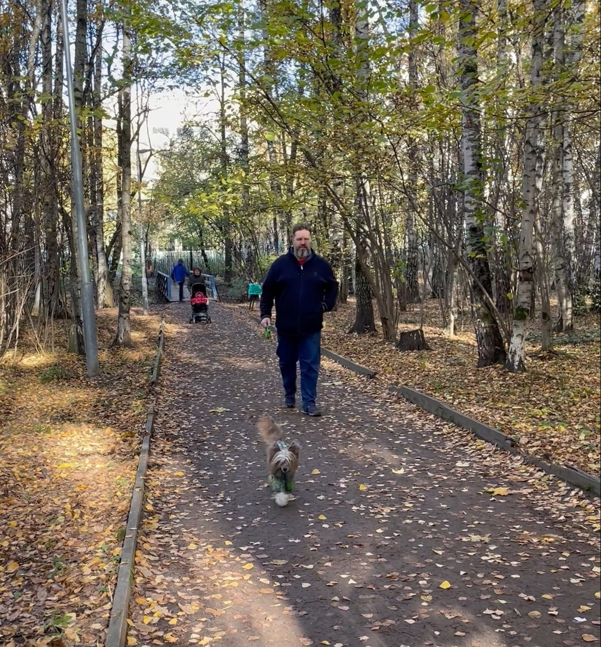 Честер и ко. осенью в Тропарево. Питомник китайских хохлатых собак Poale Ell: купить щенка в питомнике