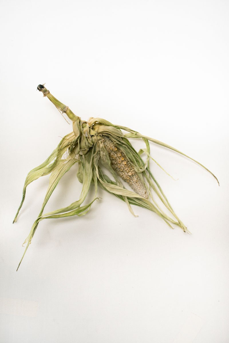 Абстрактный. Самид Али, фотограф из Санкт-Петербурга, Россия