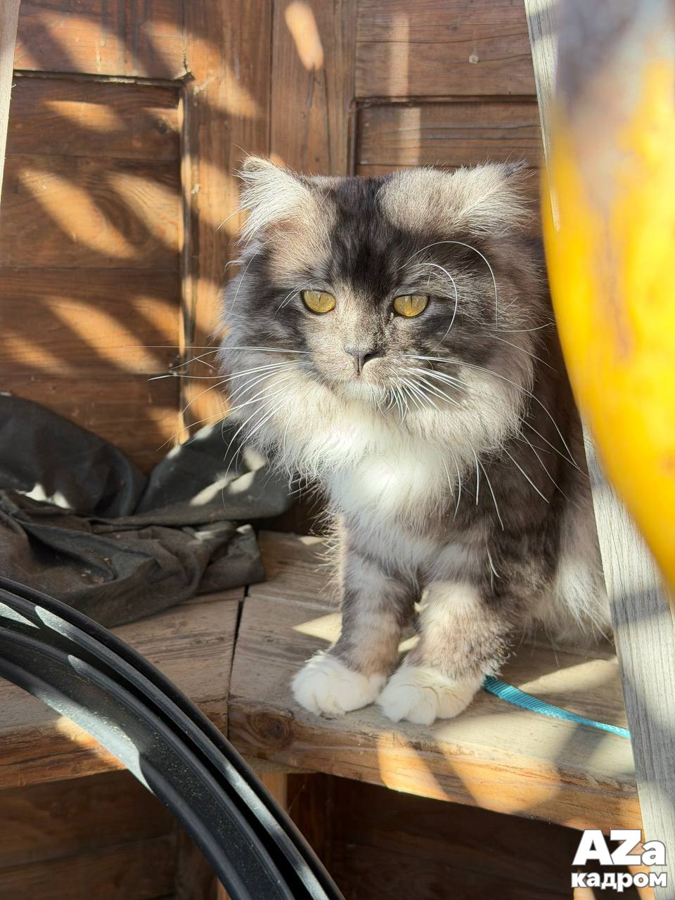 Дыхание весны. Фотоклуб AZакадром. Женский семейный фотограф Тула Москва Захарова Анна