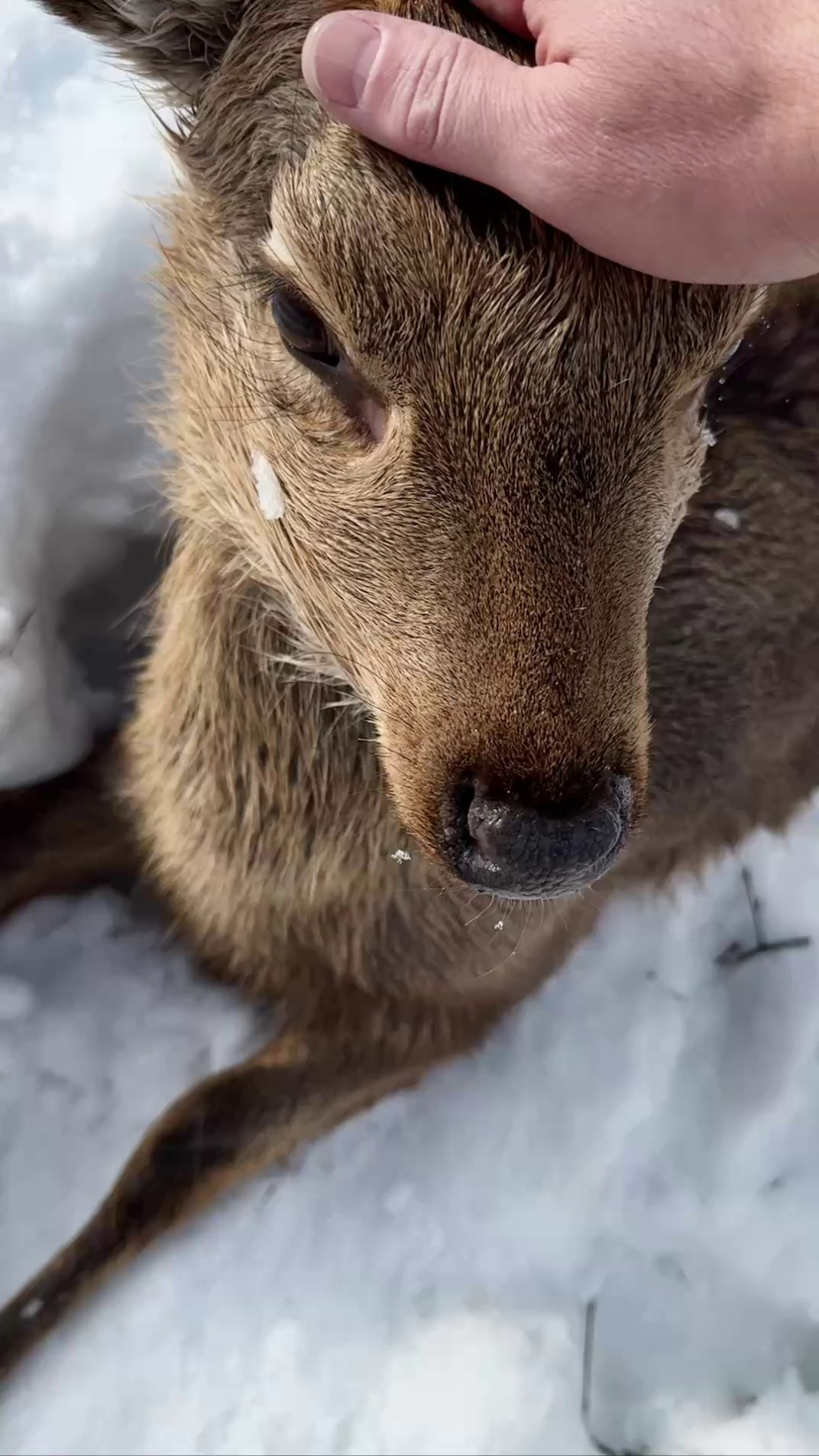 Nizhniy Novgorod. Dinner at Dodici Grill. The Other Pavel Potseluev — film photography and mastery of meat business