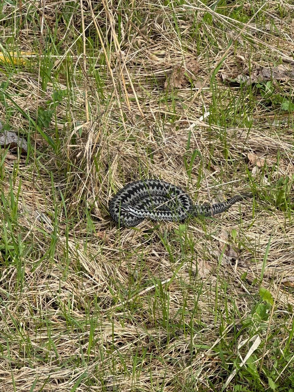 Идем на восток. Портретный фотограф Москва, репортаж и естественная постановка