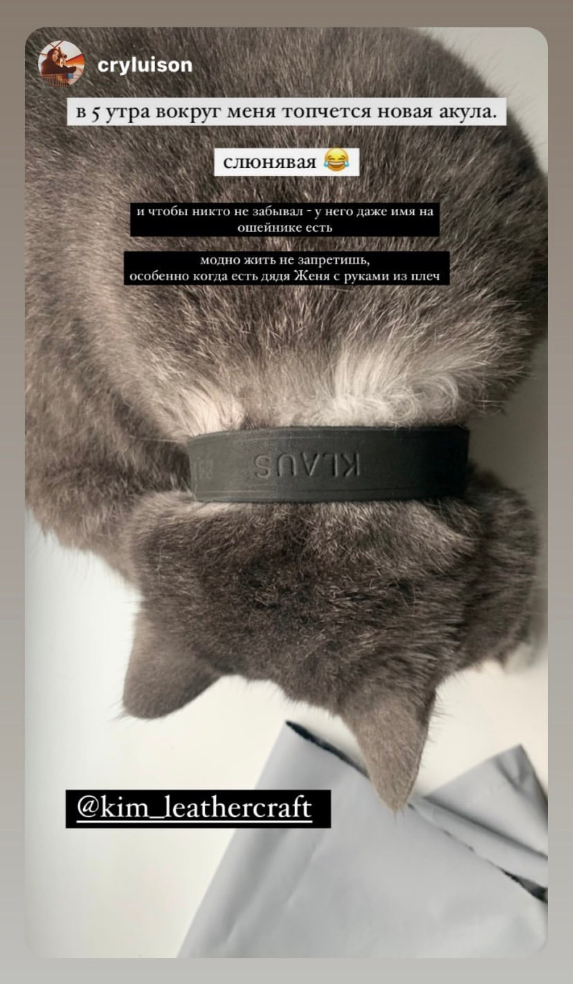 Евгений Ким