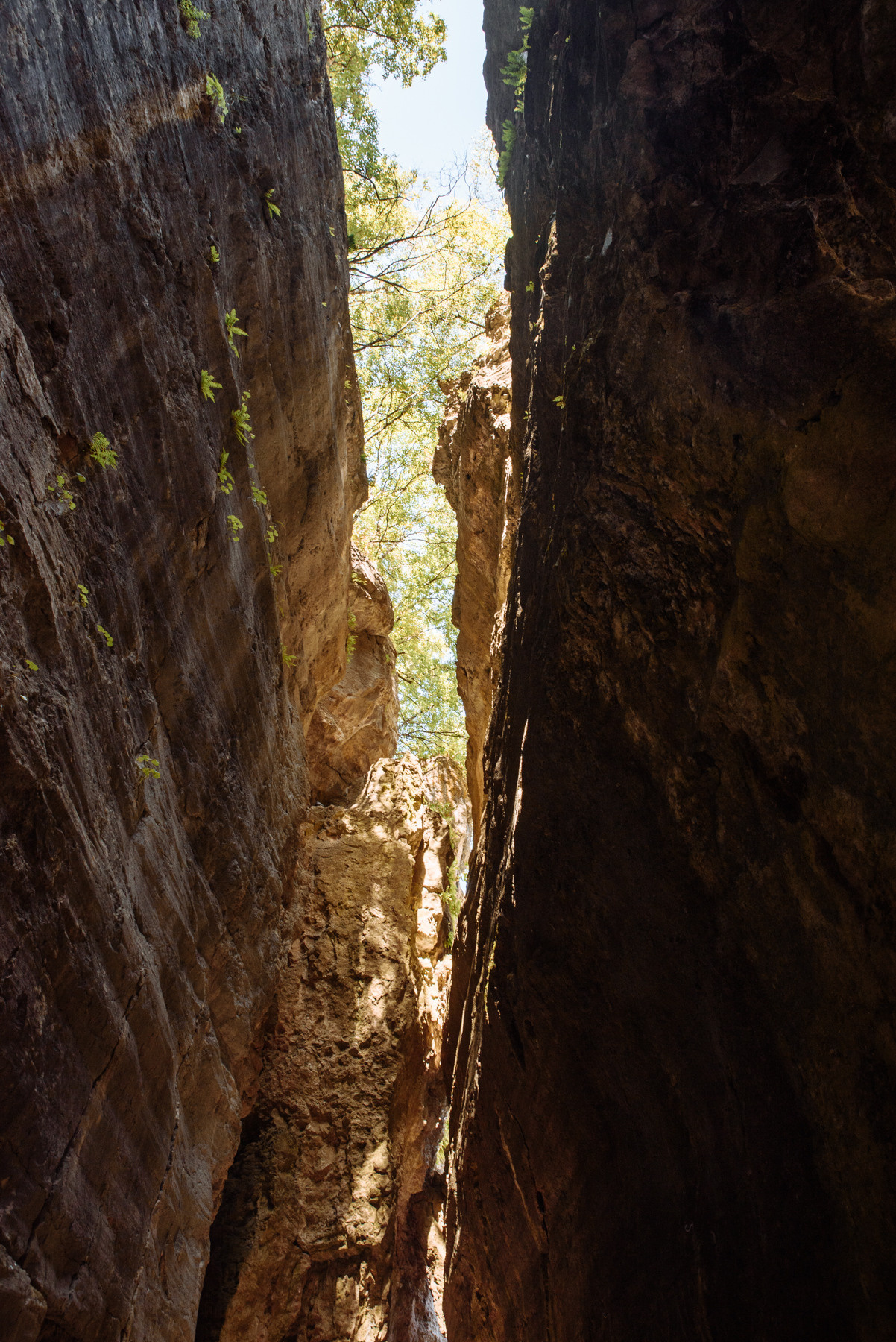 Дагестан 2022. Портретный фотограф Москва, репортаж и естественная постановка
